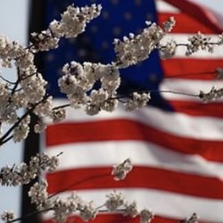 Exquisite Permanent Makeup Training Center - Happy 4th of July.
