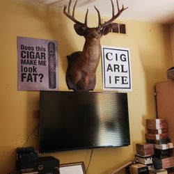 Stogies Cigar Lounge