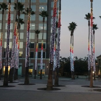 Circle of Palms - Landmarks & Historical Buildings Near Me - San Jose, California Circle of Palms - Landmarks & Historical Buildings Near Me - San Jose, California