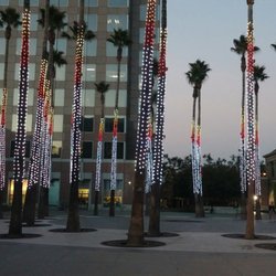 Circle of Palms