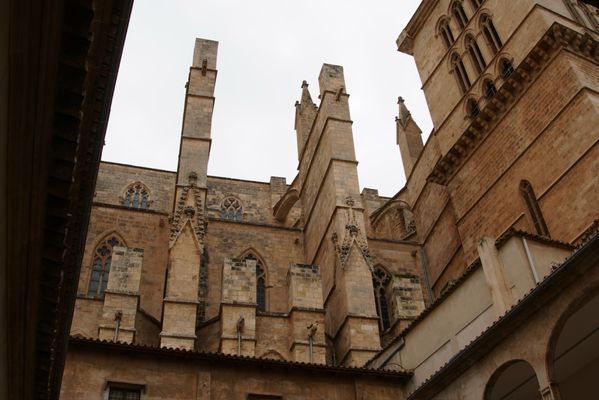 Catedral-Basílica de Santa María de Mallorca by null