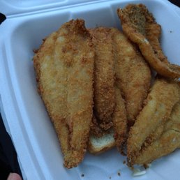 Lake Trout