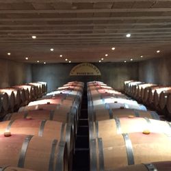 Chateau du Tailhas - Barrel room