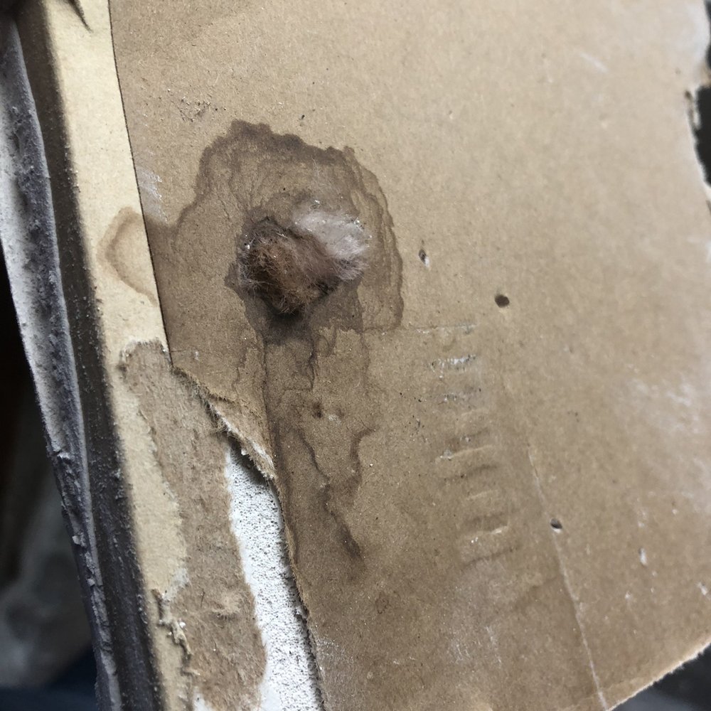 DeLayne At Twin Creeks - Damage to back of drywall - Apartments Near Me - Allen, Texas
