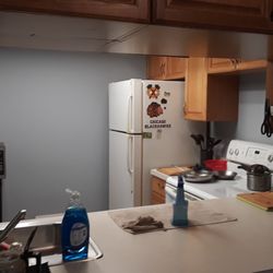 Brushrite Painting - After work (Kitchen)