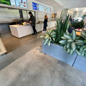 sweetgreen - Healthy Salads, Wraps, and Bowls - Salad Near Me - San Francisco, California sweetgreen - Healthy Salads, Wraps, and Bowls - Salad Near Me - San Francisco, California