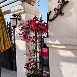 Old Town Tequila Factory - ALL-YOU-CAN-EAT Taco & Tostada Buffet for $15.99 at Old Town Tequila Factory!