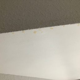 Bathroom stains