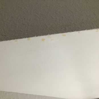 Hampton Inn St. Augustine US1 North - Bathroom stains - Hotels Near Me - Saint Augustine, Florida