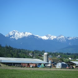 Magical farmlands
