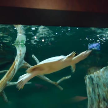 McWane Science Center - Museums Near Me - Birmingham, Alabama McWane Science Center - Museums Near Me - Birmingham, Alabama