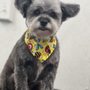 Photo of Grooming at Tiffinys
