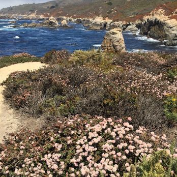 Garrapata State Park - Hiking Near Me