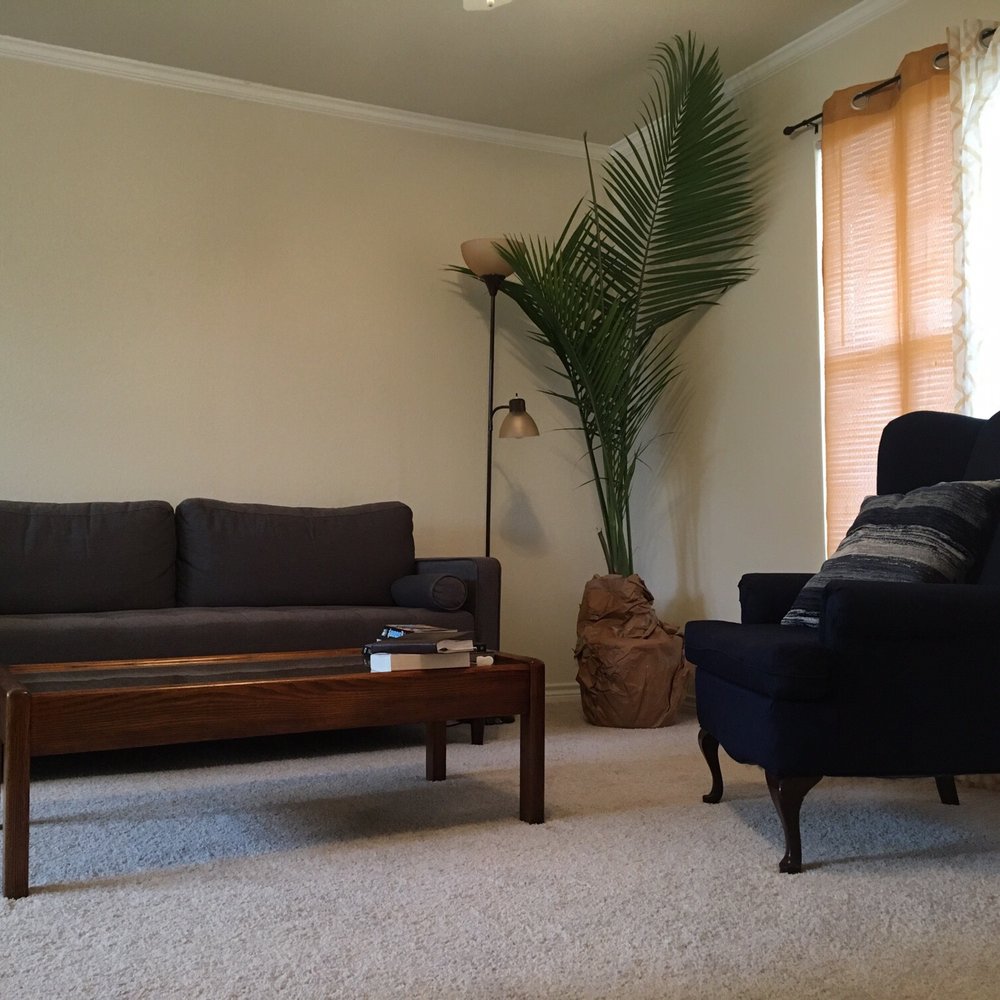 Indoor palm plant