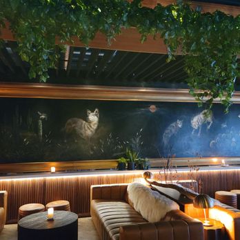 Wren & Wolf - Cocktail Bars Near Me - Phoenix, Arizona Wren & Wolf - Cocktail Bars Near Me - Phoenix, Arizona