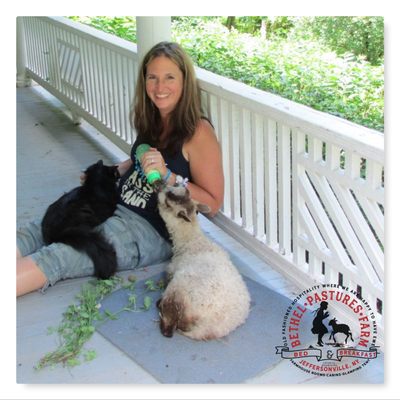 Bethel Pastures Farm Bed & Breakfast by null