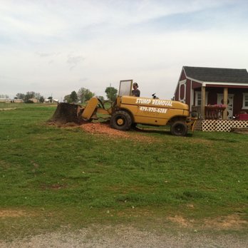 A & N Tree Service & Stump Grinding - Any size stump no problem - Landscaping Near Me - Hartman, Arkansas A & N Tree Service & Stump Grinding - Any size stump no problem - Landscaping Near Me - Hartman, Arkansas