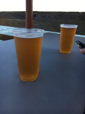 The Tin Fish by null