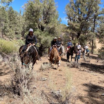 American Jousting Alliance - Horseback riding - Horseback Riding Near Me - Frazier Park, California American Jousting Alliance - Horseback riding - Horseback Riding Near Me - Frazier Park, California