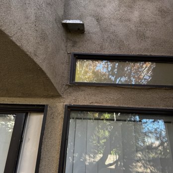 Apex Pest Control - After - Pest Control Near Me