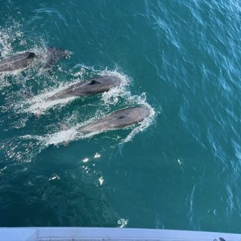 Harbor Breeze - Boat Charters Near Me - Long Beach, California