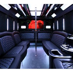 Platinum Party Bus