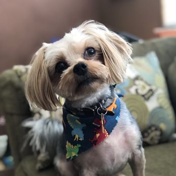 Muddy Paws Grooming - Barkley after! - Pet Groomers Near Me - Oakley, California