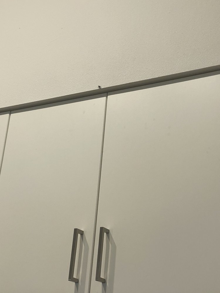 AVEN RIDGE Apartments 1141 Pleasant Hill Rd., Leander, TX Phone