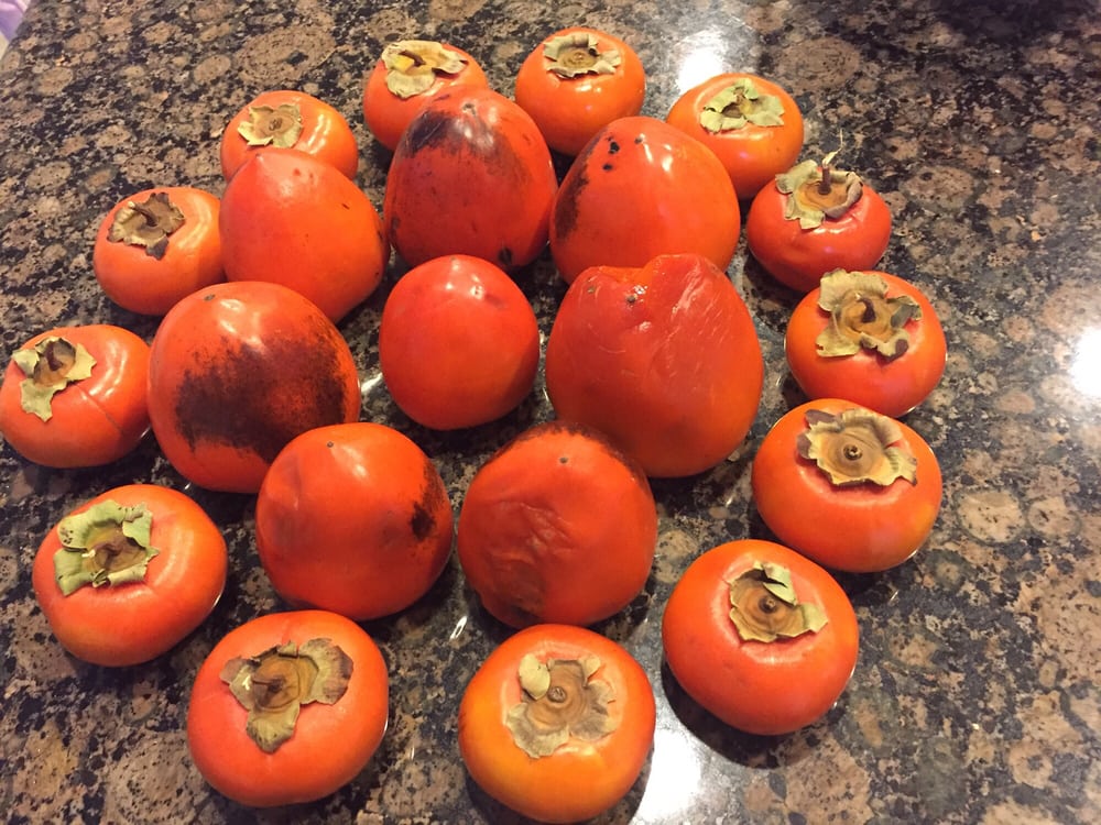 THE FRUIT SHOP CLOSED 89 Photos & 94 Reviews San Diego