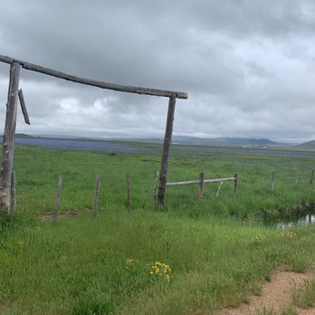 Camas Prairie Centennial Marsh - Landmarks & Historical Buildings Near Me - Fairfield, Idaho Camas Prairie Centennial Marsh - Landmarks & Historical Buildings Near Me - Fairfield, Idaho