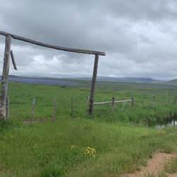 Camas Prairie Centennial Marsh