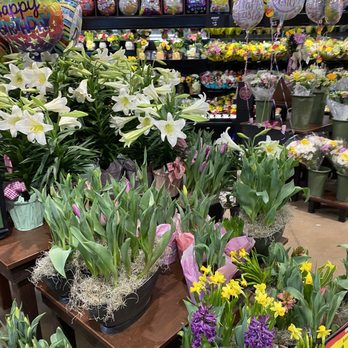 Kroger - Pretty flowers - Grocery Near Me - Lexington, Kentucky