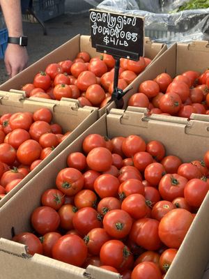 Blue House Farm Strawberry U-Pick and Farmstand by null