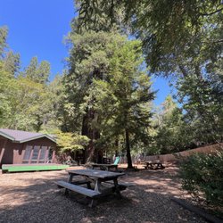 The Chimney Tree Grill - 8/27/24 FYI. Large picnic area