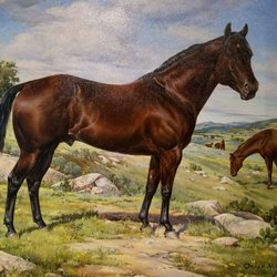 American Quarter Horse Hall of Fame & Museum