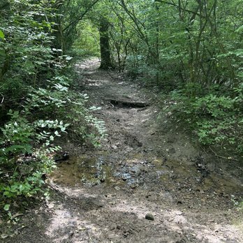 Mt. Gilead State Park - Hiking trail - Hiking Near Me - Mount Gilead, Ohio Mt. Gilead State Park - Hiking trail - Hiking Near Me - Mount Gilead, Ohio