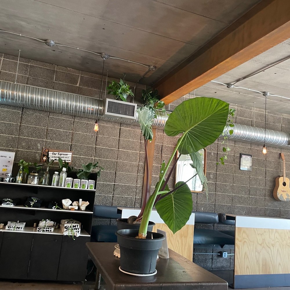 Giant Coffee - Coffee & Tea Near Me - Phoenix, Arizona