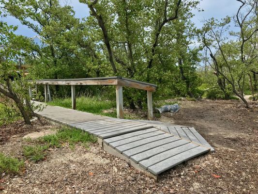 Wild Bird Sanctuary - Florida Keys Wild Bird Center by null