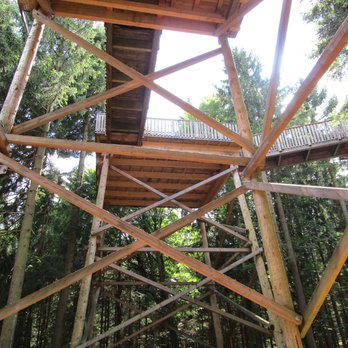 Baumkronenweg - These boardwalks are no joke! - Landmarks & Historical Buildings Near Me - Knechtelsdorf, 4