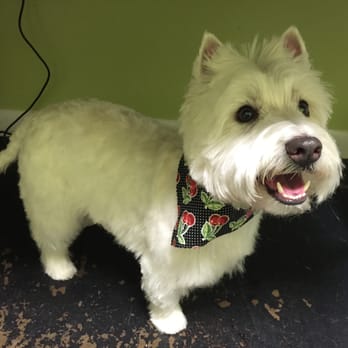 Ooh La La Pet Spa - Pet Groomers Near Me - Hillsborough, North Carolina Ooh La La Pet Spa - Pet Groomers Near Me - Hillsborough, North Carolina