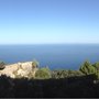 Photo of El Encinar