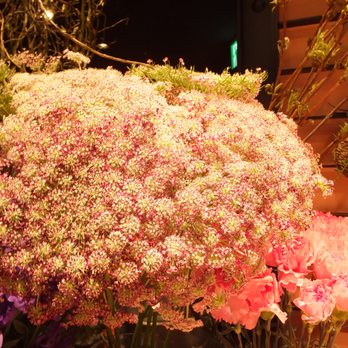 青山フラワーマーケット横浜ジョイナスb1店 10 Photos Florists 西区南幸1 4 横浜市 神奈川県 Japan Phone Number Yelp