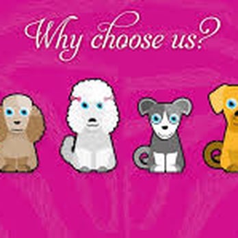 Pampered Pets Pro Grooming - Pet Sitting Near Me - Pocatello, Idaho Pampered Pets Pro Grooming - Pet Sitting Near Me - Pocatello, Idaho