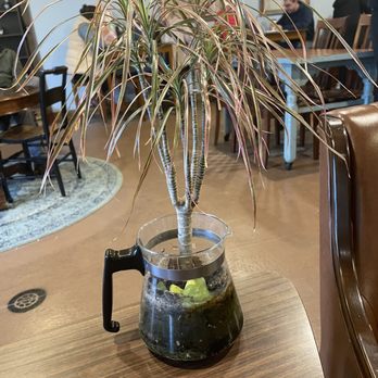 Velocity Bike & Bean - Decor - Cafes Near Me - Florence, Kentucky Velocity Bike & Bean - Decor - Cafes Near Me - Florence, Kentucky