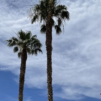Sunset Park - Dog Parks Near Me - Las Vegas, Nevada