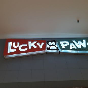 Lucky Paws - Pet Adoption Near Me - Albuquerque, New Mexico