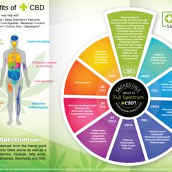 Delta-8 CBD Sacred Oils Retail & Wholesale