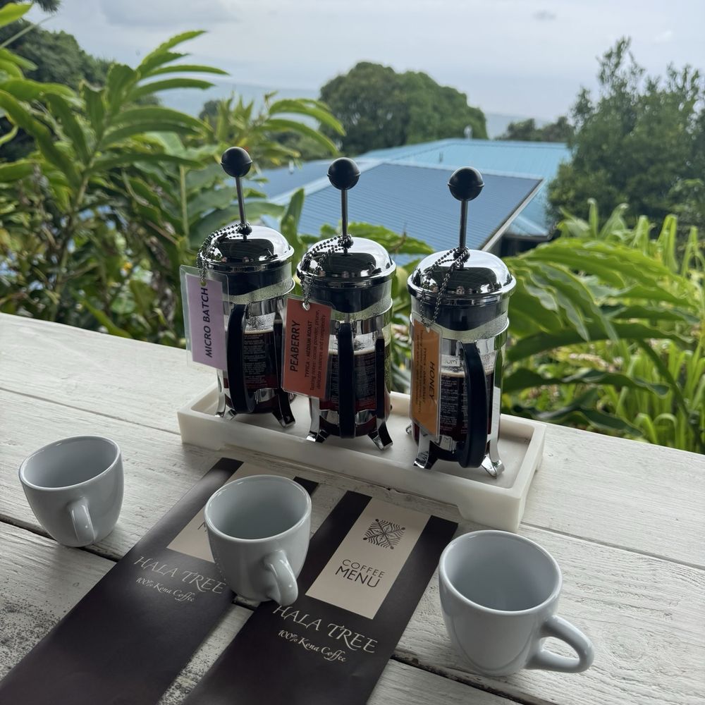 Hala Tree Coffee - Our second coffee flight (half). - Attraction Farms Near Me - Captain Cook, Hawaii Hala Tree Coffee - Our second coffee flight (half). - Attraction Farms Near Me - Captain Cook, Hawaii