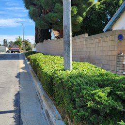 10/31/2025 Enrique's E&M team of 7 landscapers did an exceptionally good job on our Torrance property.