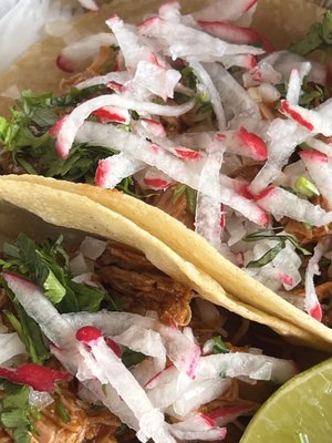 Chilacates Chestnut Hill #4 by null